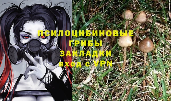 амф Михайловск