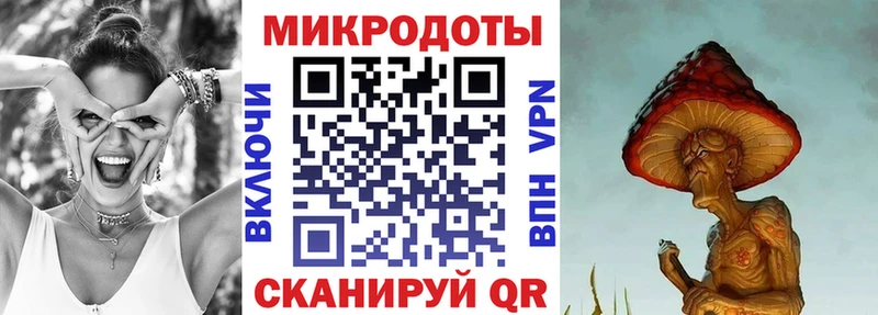 Галлюциногенные грибы Psilocybine cubensis  Купить  Сенгилей 
